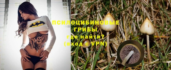 дживик Рославль