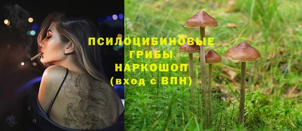 гашишное масло Лабытнанги