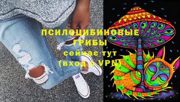 гидра Янаул