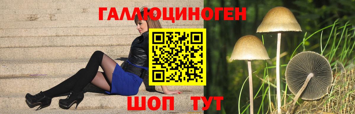 Галлюциногенные грибы мицелий  Псилоцибиновые грибы GOLDEN TEACHER  Брянск 