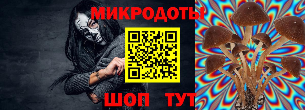 Псилоцибиновые грибы GOLDEN TEACHER  Вход с VPN  Брянск  Псилоцибиновые грибы Magic Shrooms 