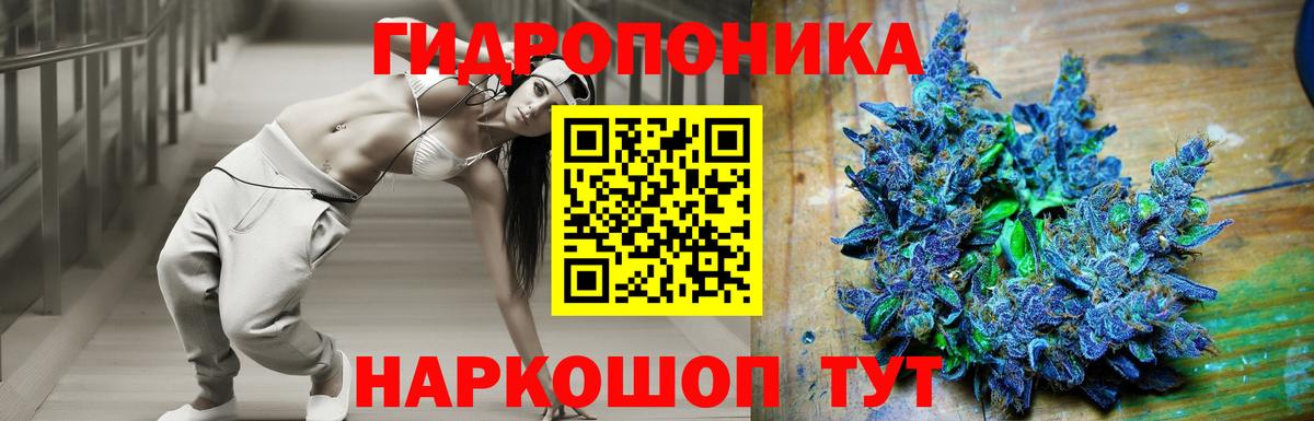 Марихуана тримм  Брянск  Конопля ГИДРОПОН  Конопля планчик 